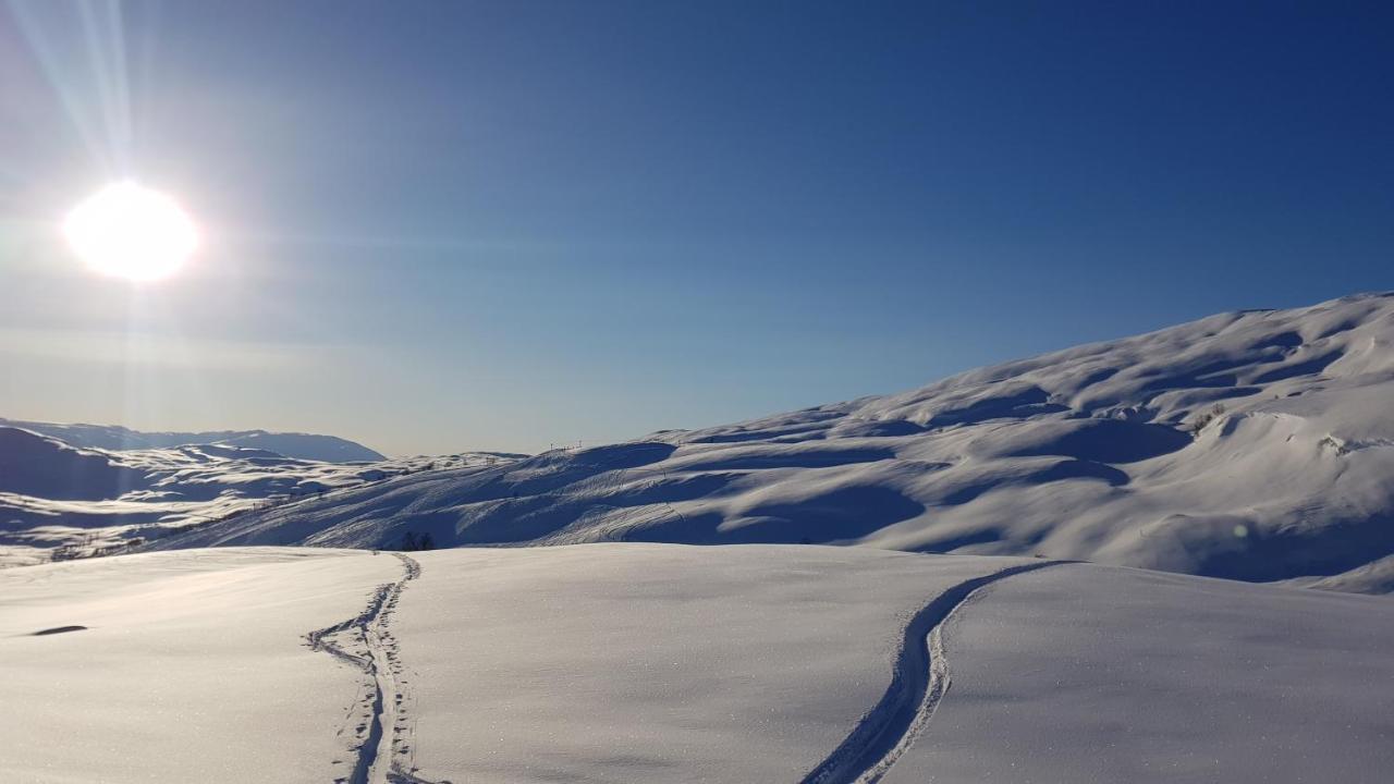 Mlodge - The Mountain Lodge Sogndal Luaran gambar