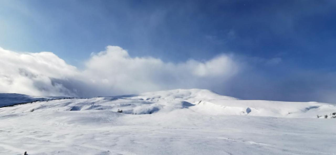 Mlodge - The Mountain Lodge Sogndal Luaran gambar